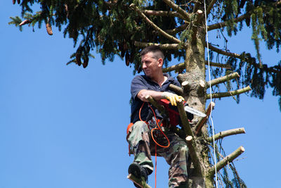 Low angle view of man holding chainsaw while sitting on tree trunk