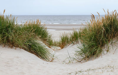 Scenic view of sea against clear sky