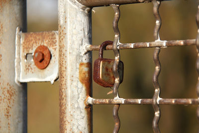 Close-up of padlock hanging on metal gate