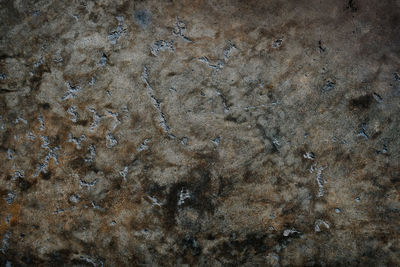 Full frame shot of weathered wall