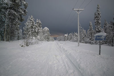 Snow covered trees on snow covered landscape