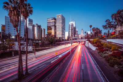 High angle view of light trails on road at night