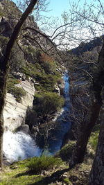 River flowing through rocks in forest