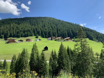 Skigebiet damüls-mellau 