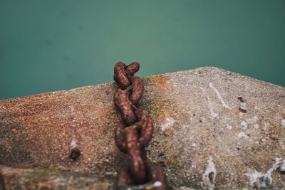 Close-up of rusty metal chain