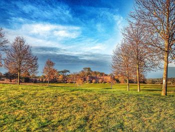 Scenic view of field against cloudy sky