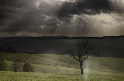 Scenic view of field against sky