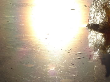 Close-up of crab on beach against sky during sunset