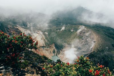 High angle view of trees and mountains against sky