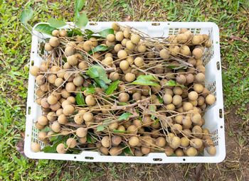 High angle view of mushrooms in market