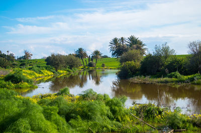 Scenic view of lake against sky