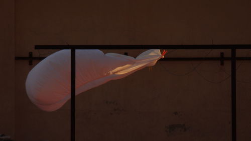 Low angle view of flag against wall