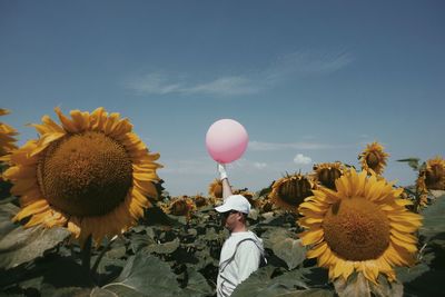 Side view of man with balloon standing amidst sunflowers on farm