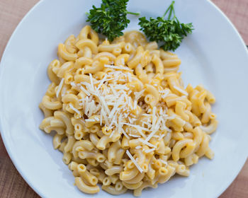 Directly above shot of macaroni and cheese in plate