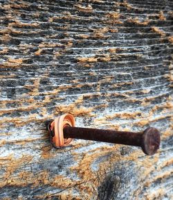 Close-up of rusty wooden door