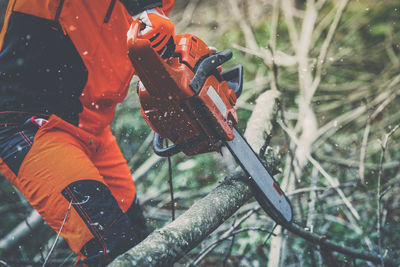 Low section of man standing in forest