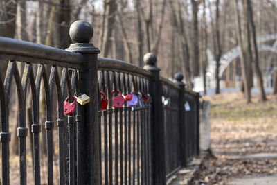 Close-up of padlocks on fence against trees