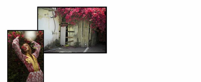 High angle view of potted plants against wall