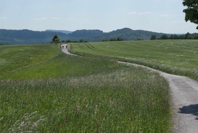 Scenic view of farm against sky