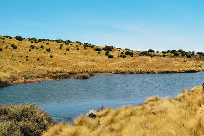 Lake against a moorland background, lake ellis, mount kenya national park, kenya