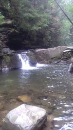 River flowing through forest