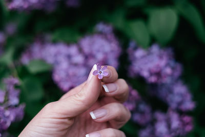 Hand holding a rare find - five petal syringa that is believed to bring luck to its finder.