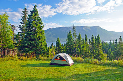 Tent in camp in gros morne national park, newfoundland