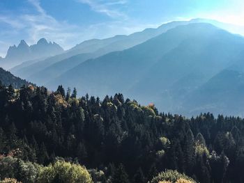 Scenic view of trees and mountains against sky