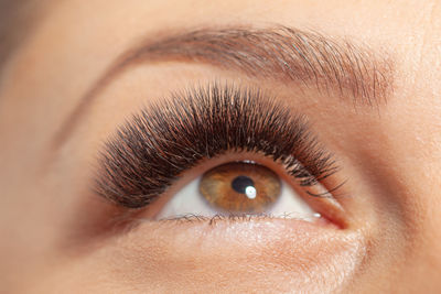 Close-up portrait of woman eye