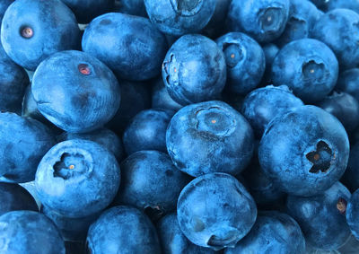 Full frame shot of blueberries