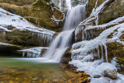 Scenic view of waterfall in forest