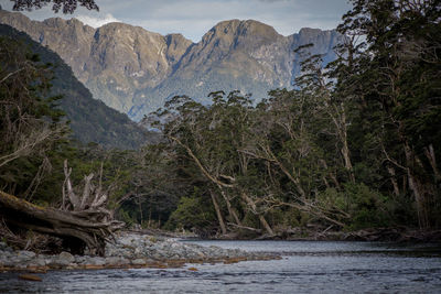 Scenic view of river amidst trees against mountains