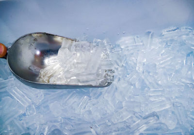 High angle view of ice cubes in glass