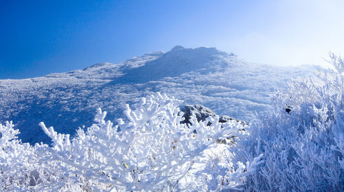 Scenic view of mountains against blue sky