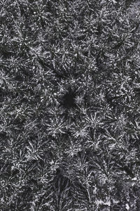 Full frame shot of snow covered land