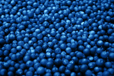 Full frame shot of blueberries