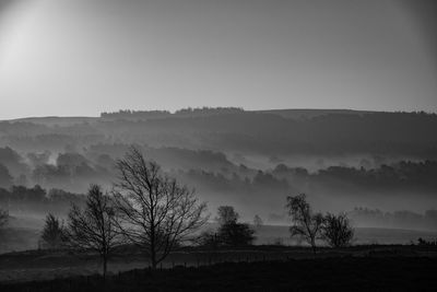 Silhouette bare trees on landscape against sky