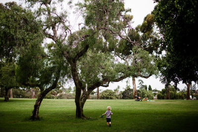 People walking in park