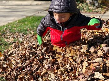 Boy on dry leaves on field