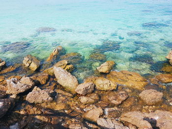 High angle view of rocks on shore