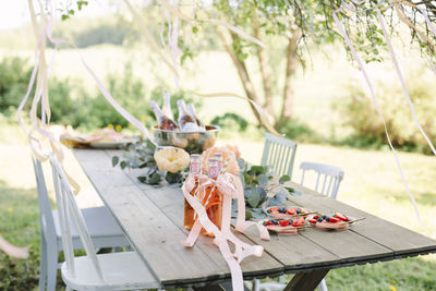 Table set for party in garden