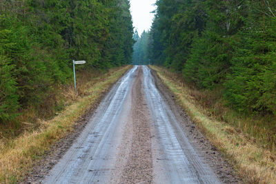 Country road amidst trees in forest