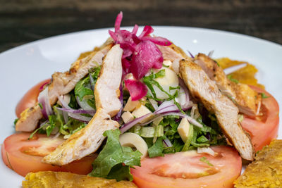 Close-up of meal served in plate
