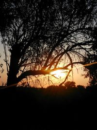 Silhouette of trees against sky at sunset