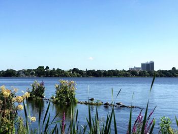 Scenic view of lake against clear blue sky