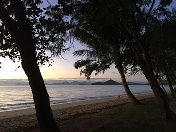 Silhouette trees on beach against sky during sunset