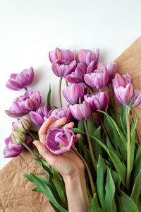 A bouquet of purple tulips on a white background.