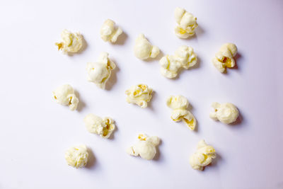 High angle view of cookies on white background