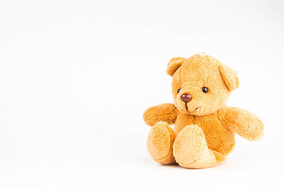 Close-up of stuffed toy against white background