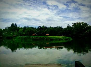 Reflection of trees in lake